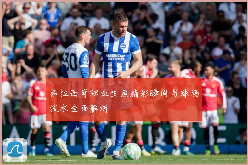 弗拉西奇职业生涯精彩瞬间与球场技术全面解析