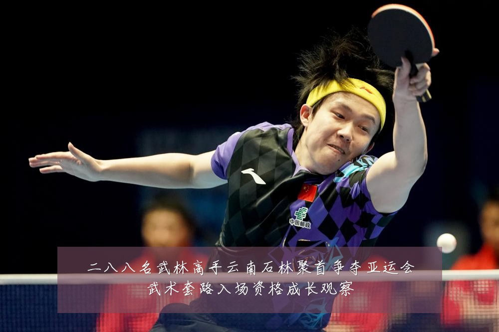 二八八名武林高手云南石林聚首争夺亚运会武术套路入场资格成长观察