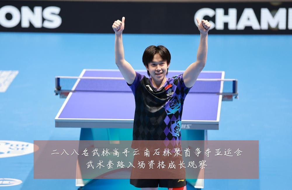 二八八名武林高手云南石林聚首争夺亚运会武术套路入场资格成长观察